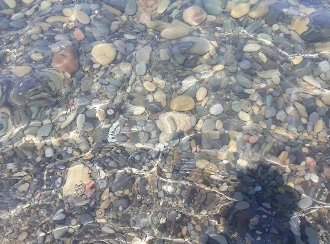 Hébergement de vacances Casa Vacanza Sul Mare